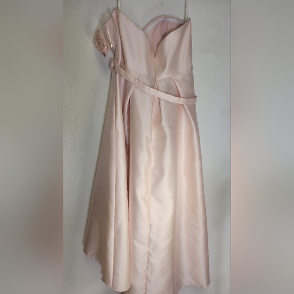 Alfred Sung Full Length,  Dress..Pearl Pink..Size 18W - Picture 3 of 8